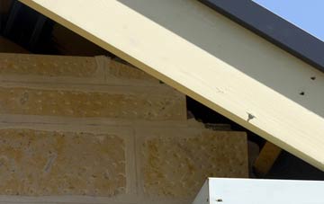 soffit repair Berriedale